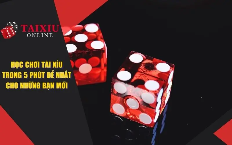 hoc choi tai xiu trong 5 phut 883 Học Chơi Tài Xỉu Trong 5 Phút Dễ Nhất Cho Những Tân Thủ