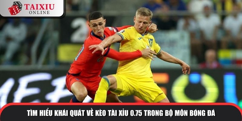 keo tai xiu 0.75 1 999 Tìm hiểu khái quát về kèo tài xỉu 0.75 trong bộ môn bóng đá