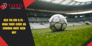 Kèo Tài Xỉu 0.75 - Hình Thức Cá Cược Ưa Chuộng Nhất Hiện Nay