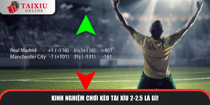 kinh nghiem choi tai xiu 2 2 5 816 Học hỏi kinh nghiệm chơi