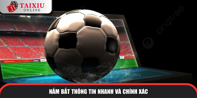 nam bat thong tin nhanh 821 Cập nhật thông tin nhanh chóng