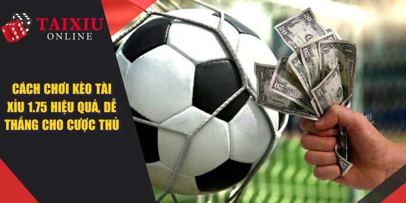 tai xiu 175 dai dien 883 Cách Chơi Kèo Tài Xỉu 1.75 Hiệu Quả, Dễ Thắng Cho Cược Thủ