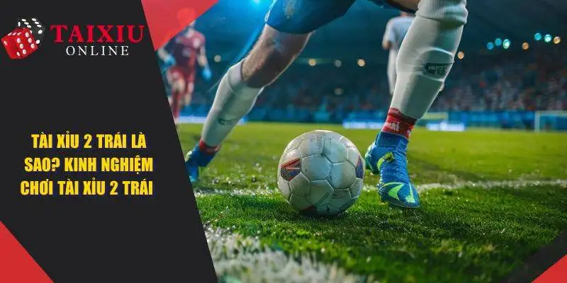 tai xiu 2 trai la sao 821 Tài Xỉu 2 Trái Là Sao? Bỏ Túi Mẹo Chơi Luôn Chiến Thắng