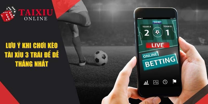 tai xiu 3 trai dai dien 976 Tài Xỉu 3 Trái - Lưu Ý Khi Chơi Kèo Cược Dễ Dành Chiến Thắng