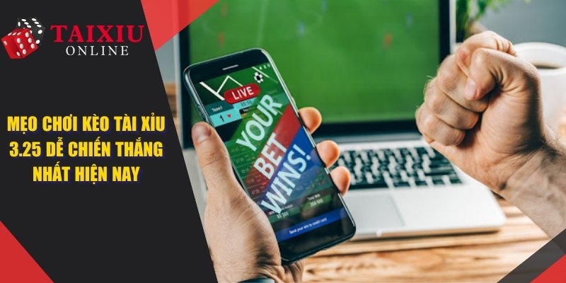 tai xiu 325 dai dien 976 Mẹo Chơi Kèo Tài Xỉu 3.25 Dễ Chiến Thắng Nhất Hiện Nay