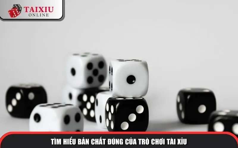 Tìm hiểu bản chất đúng của trò chơi tài xỉu